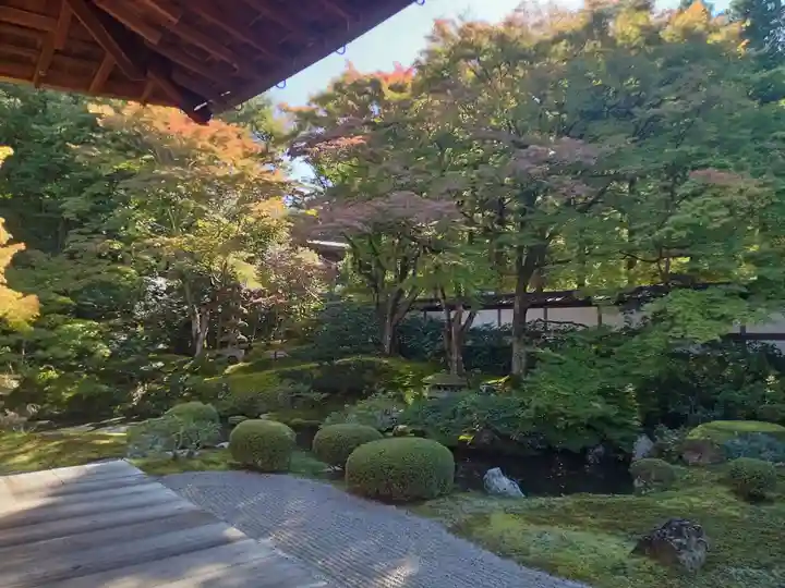 御寺 泉涌寺(京都府)