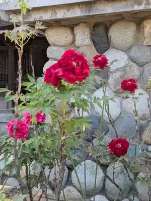 愛染院(東京都)