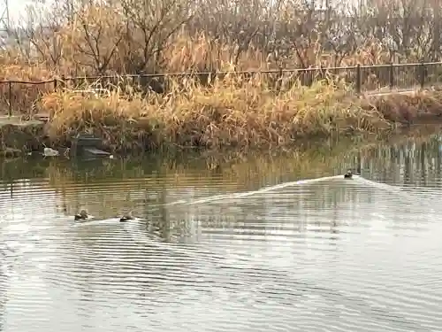 鞆江神社（明地）(愛知県)