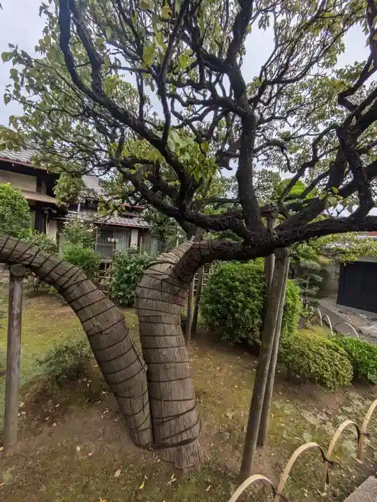 中道院(東京都)