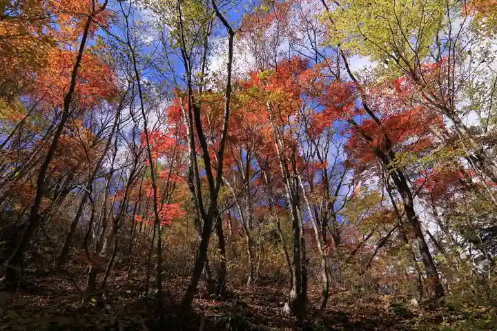 大鏑神社の周辺