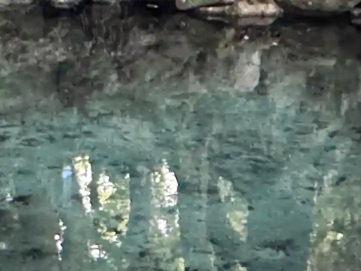 泉神社(茨城県)