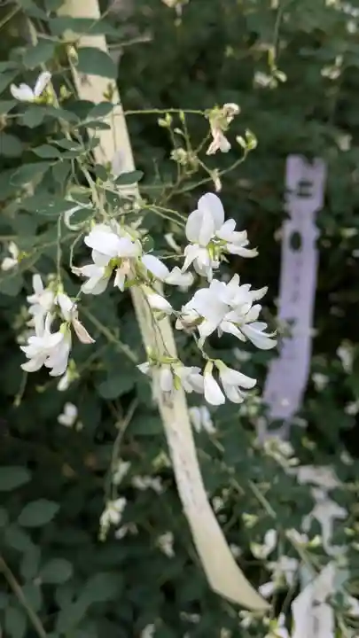 梨木神社(京都府)