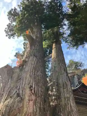 榛名神社(群馬県)