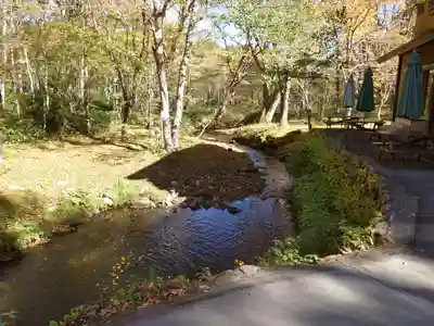 戸隠神社奥社(長野県)