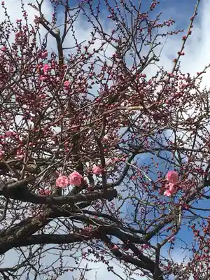 山田天満宮の自然