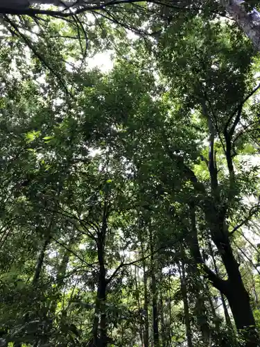 秩父神社の自然