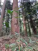 大宮温泉神社の自然