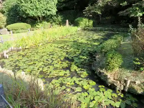 天台宗　長窪山　正覚寺の庭園