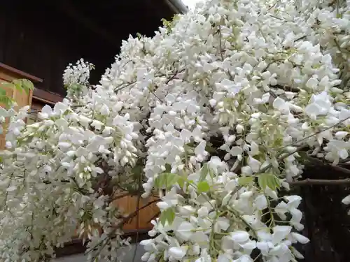 松應寺(愛知県)