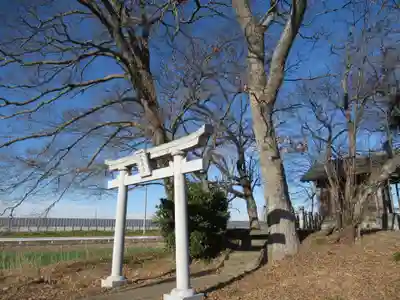 神明神社(千葉県)