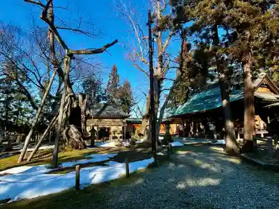 蠶養國神社の{uncategorized: "未分類", other: "その他", undefined: "問題あり", building: "その他建物", grave: "お墓", sacred_gate: "鳥居", guardian: "狛犬", statue: "像", buddha: "仏像", history: "歴史", nature: "自然", garden: "庭園", animal: "動物", pagoda: "塔", temizu: "手水舎", mountain_gate: "山門・神門", sanctuary: "本殿・本堂", subordinate: "末社・摂社", art: "芸術", scenery: "景色", jizo: "地蔵", ema: "絵馬", goshuin: "御朱印", omikuji: "おみくじ", items: "授与品その他", amulet: "お守り", goshuincho: "御朱印帳", eats: "食事", festival: "お祭り", votive_dance: "神楽", shichigosan: "七五三参", wedding: "結婚式", experience: "体験その他", initially: "初詣", around: "周辺", anti_infection: "感染症対策"}