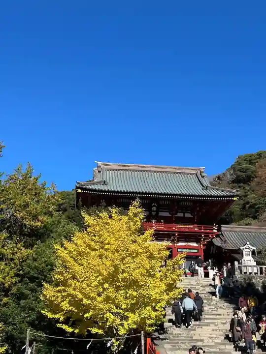 鶴岡八幡宮の本殿・本堂