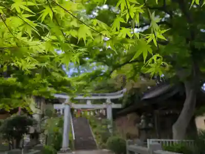 館腰神社の{uncategorized: "未分類", other: "その他", undefined: "問題あり", building: "その他建物", grave: "お墓", sacred_gate: "鳥居", guardian: "狛犬", statue: "像", buddha: "仏像", history: "歴史", nature: "自然", garden: "庭園", animal: "動物", pagoda: "塔", temizu: "手水舎", mountain_gate: "山門・神門", sanctuary: "本殿・本堂", subordinate: "末社・摂社", art: "芸術", scenery: "景色", jizo: "地蔵", ema: "絵馬", goshuin: "御朱印", omikuji: "おみくじ", items: "授与品その他", amulet: "お守り", goshuincho: "御朱印帳", eats: "食事", festival: "お祭り", votive_dance: "神楽", shichigosan: "七五三参", wedding: "結婚式", experience: "体験その他", initially: "初詣", around: "周辺", anti_infection: "感染症対策"}