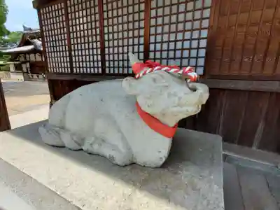 曽根天満宮の狛犬
