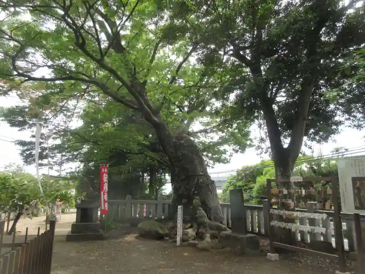 比比多神社(子易明神)(神奈川県)