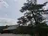 橿原神宮(奈良県)