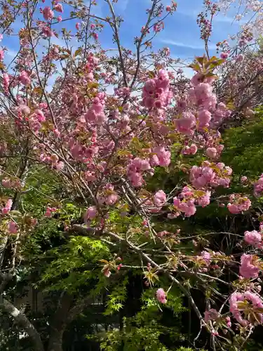 南殿順興寺(京都府)