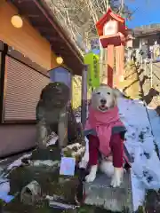 熊野皇大神社の動物