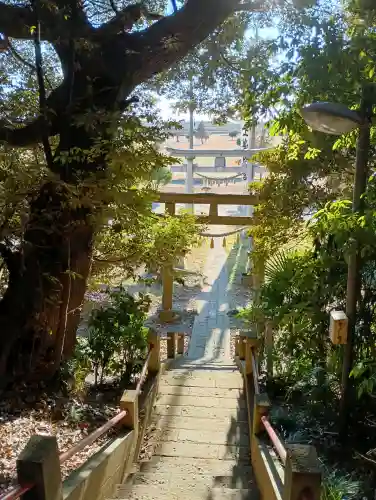 浅間神社の{uncategorized: "未分類", other: "その他", undefined: "問題あり", building: "その他建物", grave: "お墓", sacred_gate: "鳥居", guardian: "狛犬", statue: "像", buddha: "仏像", history: "歴史", nature: "自然", garden: "庭園", animal: "動物", pagoda: "塔", temizu: "手水舎", mountain_gate: "山門・神門", sanctuary: "本殿・本堂", subordinate: "末社・摂社", art: "芸術", scenery: "景色", jizo: "地蔵", ema: "絵馬", goshuin: "御朱印", omikuji: "おみくじ", items: "授与品その他", amulet: "お守り", goshuincho: "御朱印帳", eats: "食事", festival: "お祭り", votive_dance: "神楽", shichigosan: "七五三参", wedding: "結婚式", experience: "体験その他", initially: "初詣", around: "周辺", anti_infection: "感染症対策"}