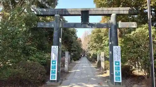 春日部八幡神社の鳥居