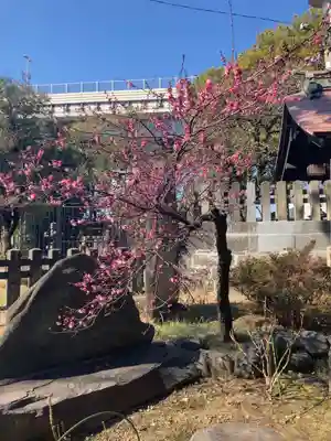 三囲神社(東京都)