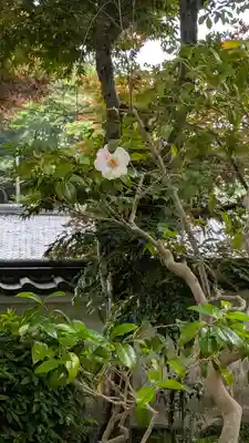 法起院(奈良県)