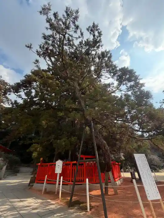香椎宮の{uncategorized: "未分類", other: "その他", undefined: "問題あり", building: "その他建物", grave: "お墓", sacred_gate: "鳥居", guardian: "狛犬", statue: "像", buddha: "仏像", history: "歴史", nature: "自然", garden: "庭園", animal: "動物", pagoda: "塔", temizu: "手水舎", mountain_gate: "山門・神門", sanctuary: "本殿・本堂", subordinate: "末社・摂社", art: "芸術", scenery: "景色", jizo: "地蔵", ema: "絵馬", goshuin: "御朱印", omikuji: "おみくじ", items: "授与品その他", amulet: "お守り", goshuincho: "御朱印帳", eats: "食事", festival: "お祭り", votive_dance: "神楽", shichigosan: "七五三参", wedding: "結婚式", experience: "体験その他", initially: "初詣", around: "周辺", anti_infection: "感染症対策"}