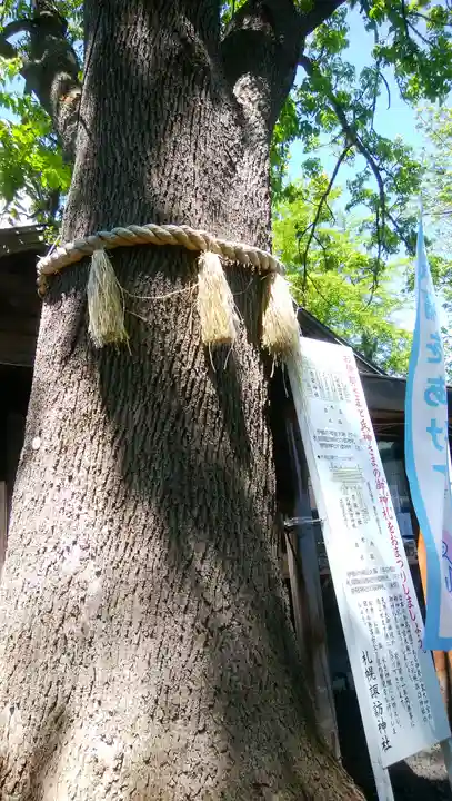 札幌諏訪神社の自然