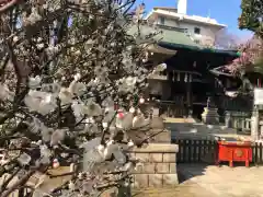 五條天神社の建物その他