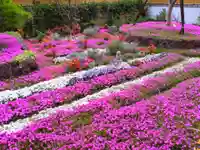 寿量山 速成寺(奈良県)