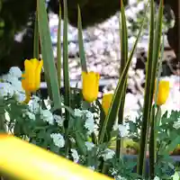 三津厳島神社の手水舎