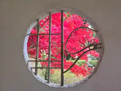 興聖寺(滋賀県)