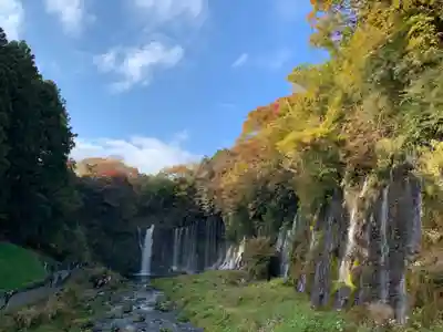 熊野神社の景色
