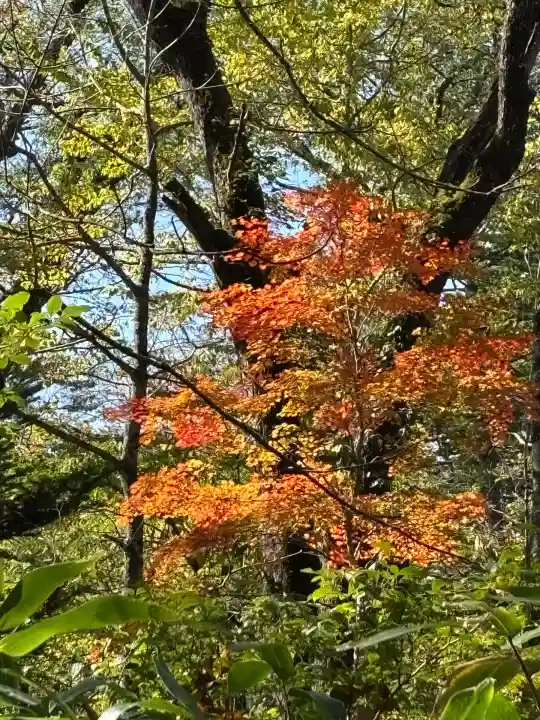 戸隠神社奥社(長野県)