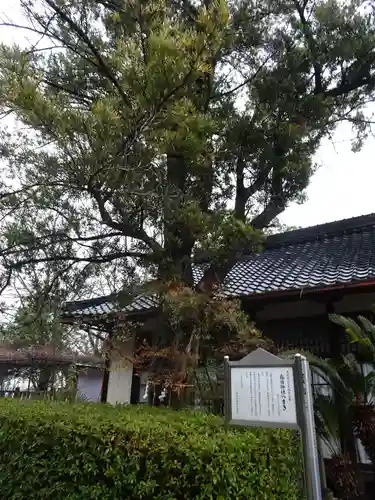 春日神社(大阪府)