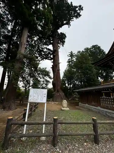 八幡宮(茨城県)