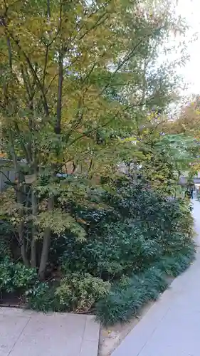 福徳神社（芽吹稲荷）の自然