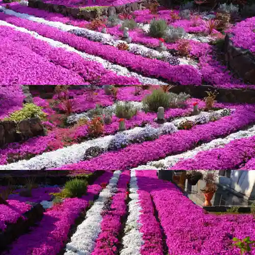 寿量山　速成寺の庭園
