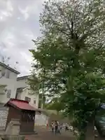 厳島神社(神奈川県)