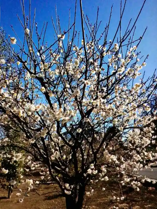 福蔵院(東京都)