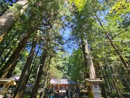 赤城神社(三夜沢町)(群馬県)