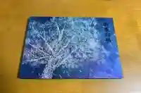 別小江神社の{uncategorized: "未分類", other: "その他", undefined: "問題あり", building: "その他建物", grave: "お墓", sacred_gate: "鳥居", guardian: "狛犬", statue: "像", buddha: "仏像", history: "歴史", nature: "自然", garden: "庭園", animal: "動物", pagoda: "塔", temizu: "手水舎", mountain_gate: "山門・神門", sanctuary: "本殿・本堂", subordinate: "末社・摂社", art: "芸術", scenery: "景色", jizo: "地蔵", ema: "絵馬", goshuin: "御朱印", omikuji: "おみくじ", items: "授与品その他", amulet: "お守り", goshuincho: "御朱印帳", eats: "食事", festival: "お祭り", votive_dance: "神楽", shichigosan: "七五三参", wedding: "結婚式", experience: "体験その他", initially: "初詣", around: "周辺", anti_infection: "感染症対策"}