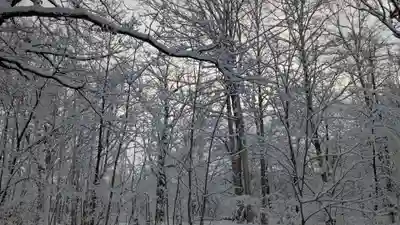 上川神社の自然