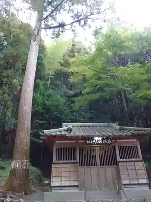 白山神社の本殿・本堂