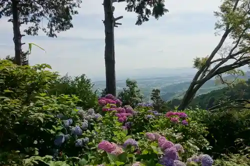 善峯寺の景色