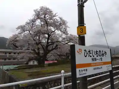 大幢寺(岐阜県)