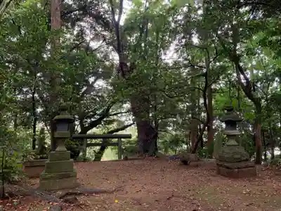 八雲神社(千葉県)
