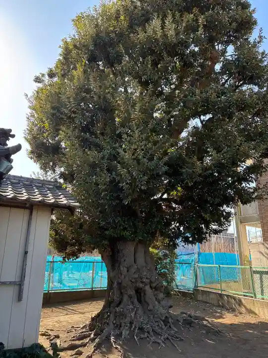 賀茂神社(千葉県)