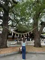 明治神宮(東京都)